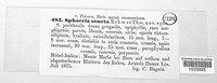 Sphaeria sancta image